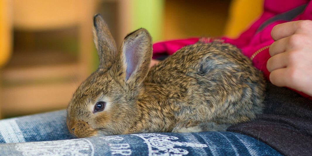 LRM_EXPORT_266325223871861_20190406_184633289