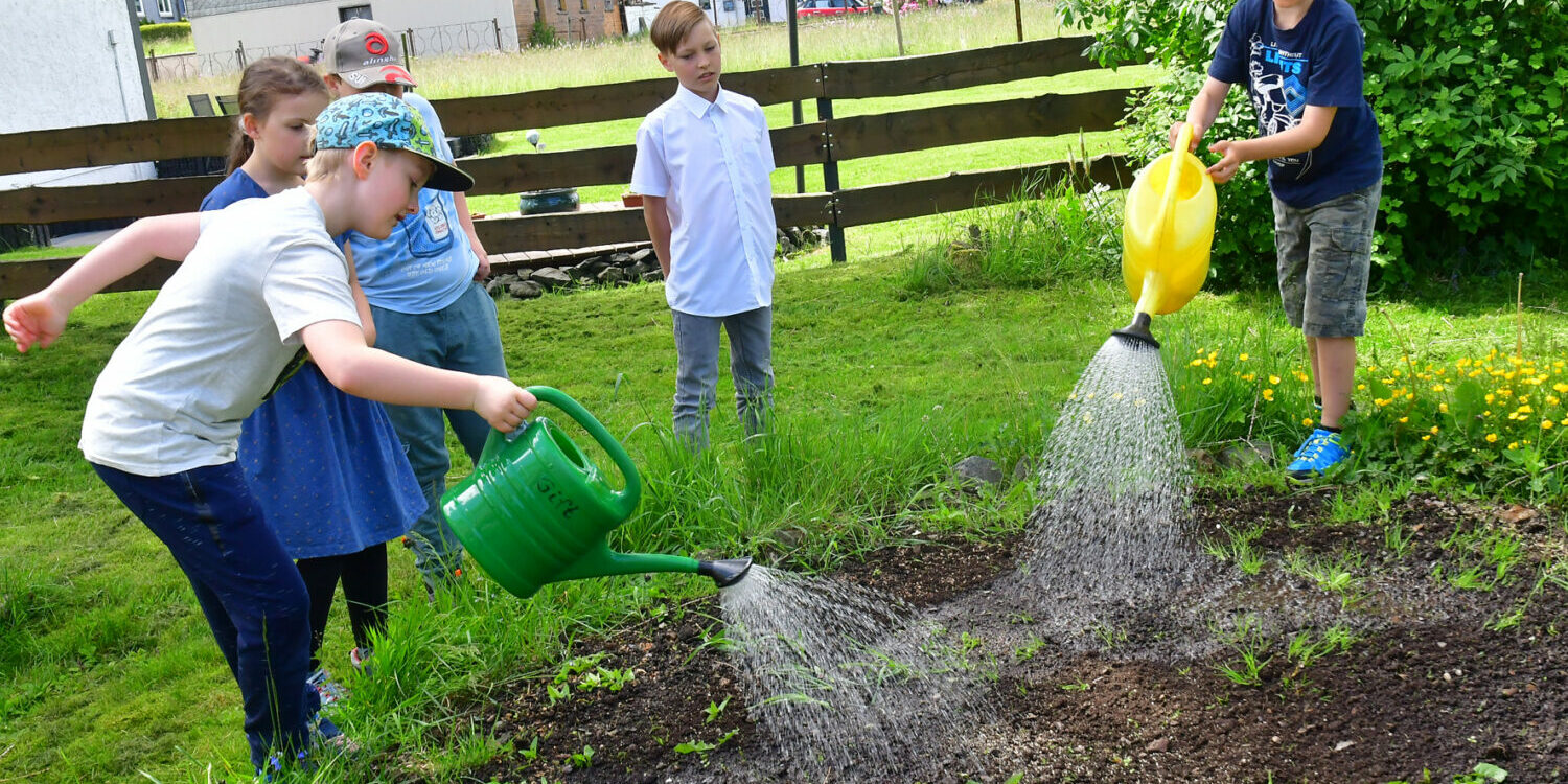 Emil und Matteo hoffen, dass es reichlich blühen wird.